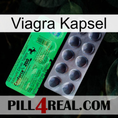 Viagra Capsule new04